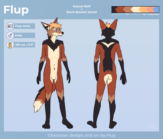Flup - Ref Sheet